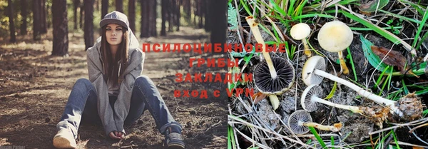 apvp Володарск