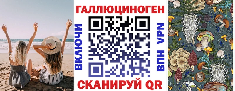 Купить  Мосальск  Псилоцибиновые грибы Psilocybine cubensis 
